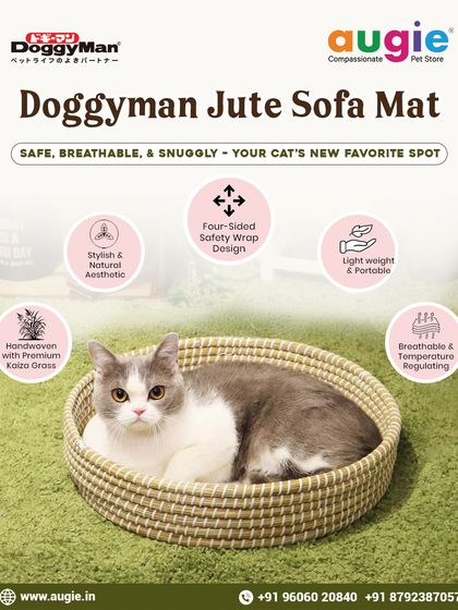 Augie Pets - Pet Supplies Playtime & Cozy Comforts photo 6