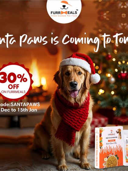 Santa Paws is coming to town. This holiday season, pamper your pup with a special discount on all their favorite FurrMeals products. It's a gift of health and joy.