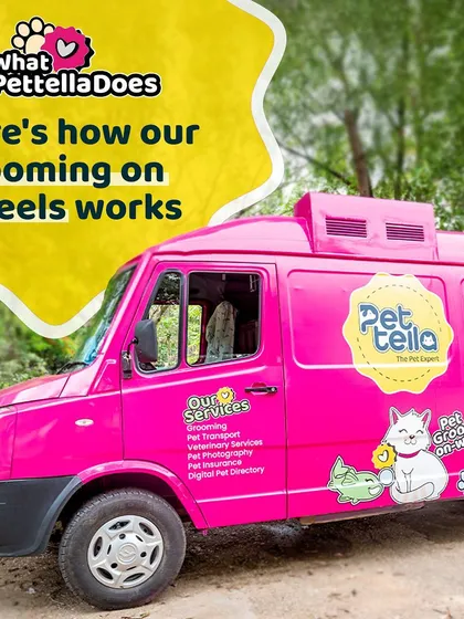This is our salon on wheels! Our bright pink van is a fully equipped grooming station, complete with AC and professional gear, ready to pamper your pet right outside your home.