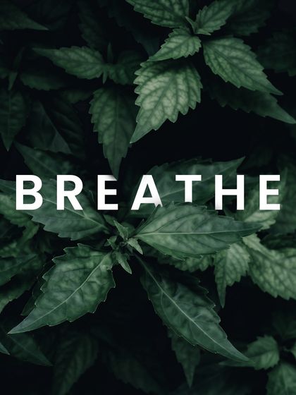 Every landscape we design begins with a moment of stillness, an intention to create a space that reminds you to simply breathe. This is where our design process starts.