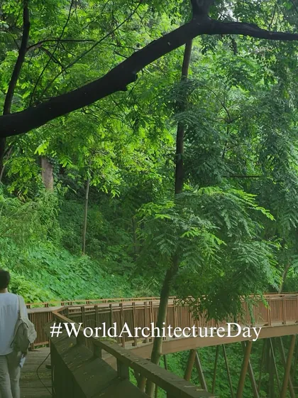 A view from the trail, looking through the lush canopy. This project is a testament to my belief that we can champion collaborative, citizen-focused design to create more inclusive and sustainable urban models for Indian cities.
