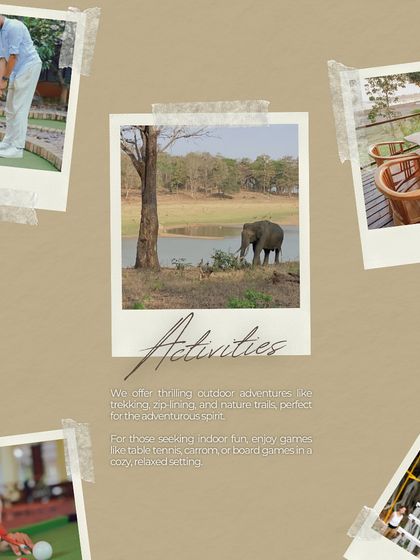 Discovery Village Resorts - Nature-based Getaways & Stays Wildlife Encounters & Safaris photo 6