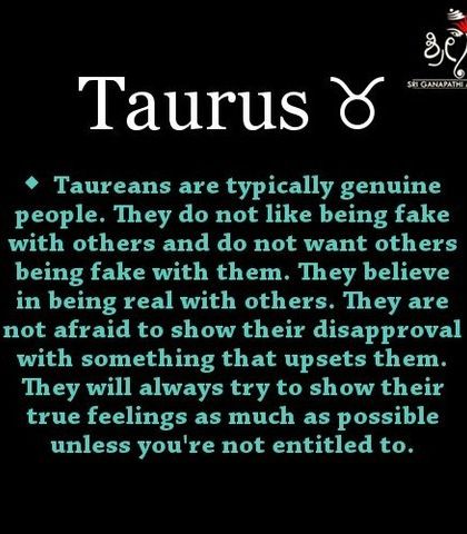 Additional Work & Insights photo 4