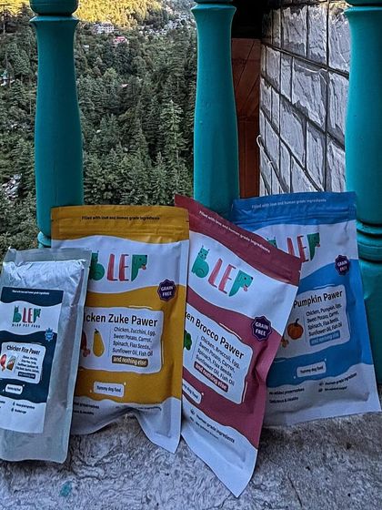 Our variety of flavors against a beautiful mountain backdrop in Jibhi. Traveling with pets doesn't mean you have to resort to kibble.