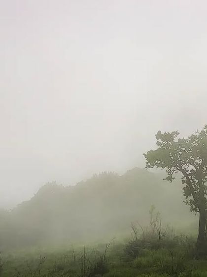 Puneeth - Cinematography for Film & Digital Media Wildlife & The Western Ghats photo 34