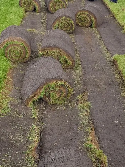 This image shows the process of laying out rolls of carpet grass. I ensure the seams are tight and the ground is properly prepared so the final result is a seamless, uniform lawn.