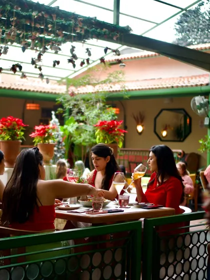 This is the heart of it all: people coming together. A snapshot from a Christmas lunch, filled with laughter, good food, and festive cheer in our courtyard. I design these moments for you to connect and celebrate.