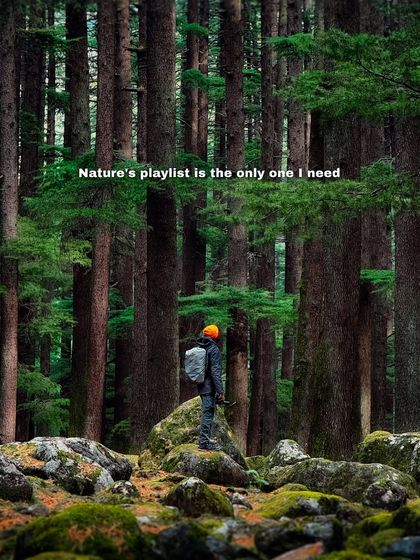 Sometimes, the only playlist you need is the sound of the forest. This self-portrait in a dense Manali forest captures that feeling of finding rest and peace in nature.