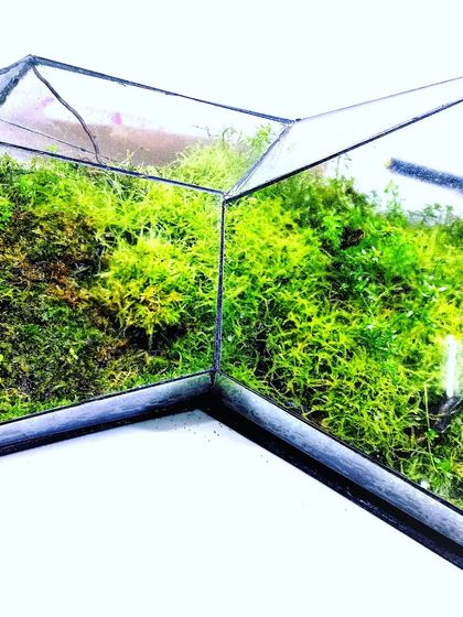 Garden Decor & Supplies photo 18