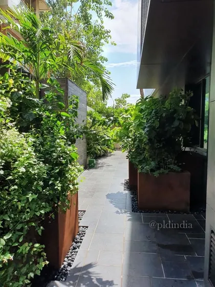A narrow side passage is transformed into a green corridor with the use of large corten steel planters. The lush planting creates a pleasant journey and screens the adjacent wall.