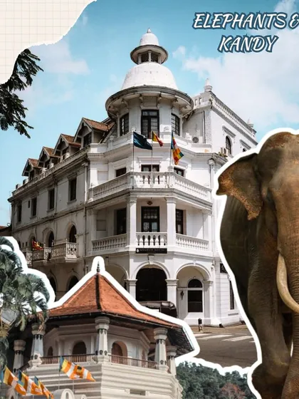 Our Sri Lanka tour takes you to the heart of its culture in Kandy. This collage captures the vibe, from the majestic elephants to the stunning colonial architecture you'll get to see up close.