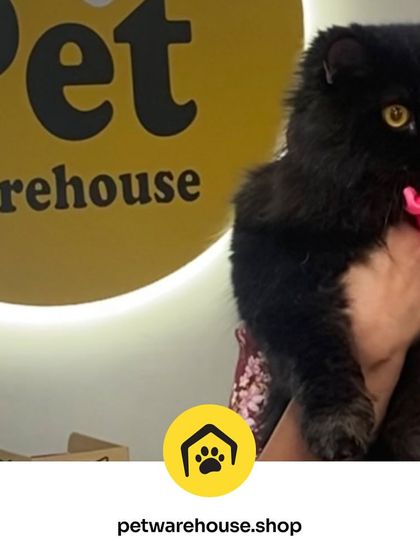 Pet Warehouse - Pet Grooming Services Words from Our Pet Parents photo 46