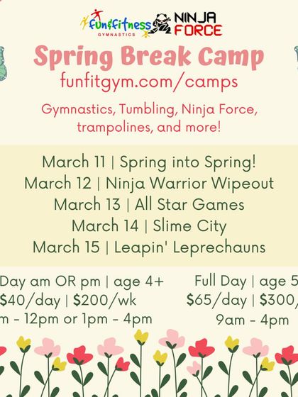 Fun & Fitness - Gymnastics & Tumbling Programs Camps, Clinics & Special Events photo 3