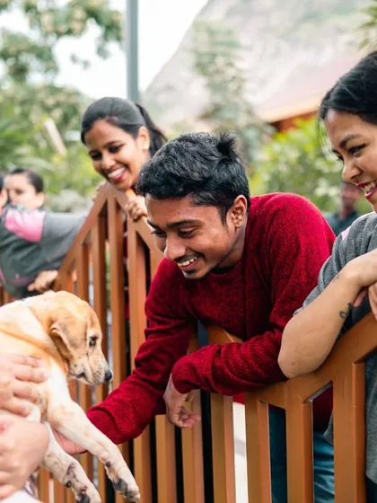 Our staff is dedicated to making your pet feel welcome. Here, guests and their furry friends interact with our team in our designated pet-friendly zones.