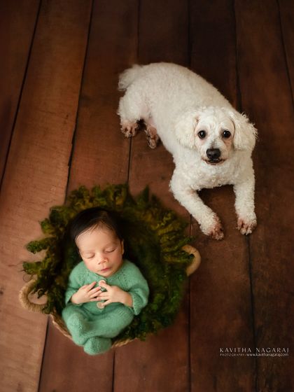A gentle guardian. The family dog watches over a sleeping newborn in this heartwarming portrait that celebrates love in all its forms.