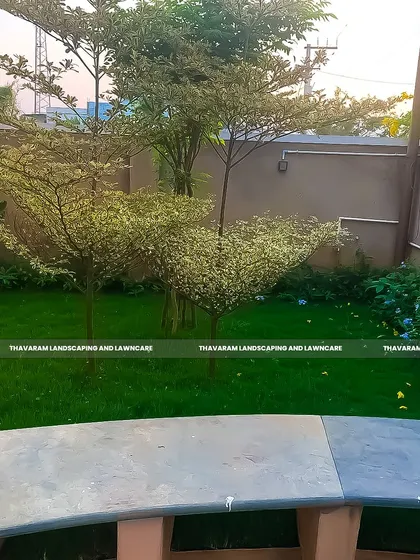 After: The same corner is now a charming garden nook. A healthy lawn, variegated trees, and a border of blue flowers have completely transformed it into a pleasant, green view.