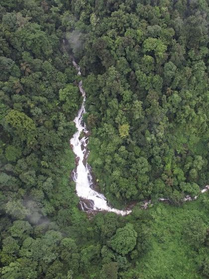 A drone shot revealing a hidden gem, a waterfall cutting its path through the dense, untouched forest of the Western Ghats.