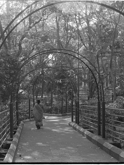 A serene scene in a park, captured on film. The process of shooting film encourages a slower, more deliberate way of seeing the world.