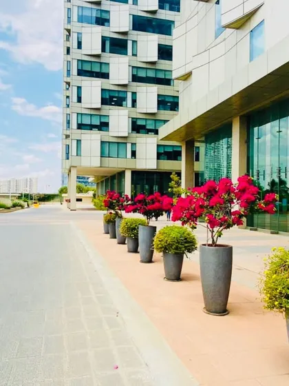 Our work extends to large-scale commercial properties. Here, we've used modern planters with vibrant bougainvillea to create a welcoming and colorful entrance for a corporate building, demonstrating our ability to handle projects of any scale.