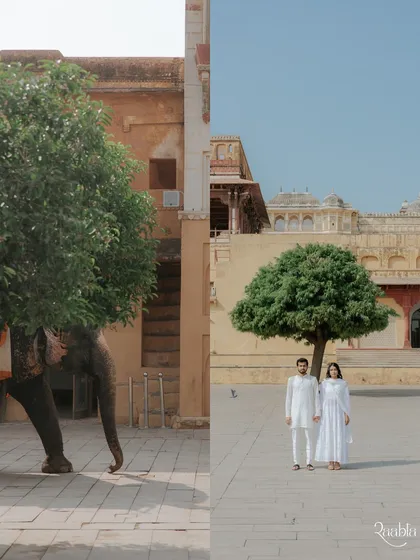 A creative diptych that plays with perspective, showing an elephant on one side and the couple standing under a tree on the other, capturing the essence of their Jaipur shoot.