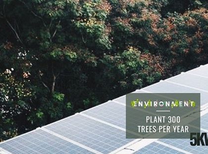 Solarify - Residential Rooftop Solar Installation Your Solar Impact: Savings & Environment photo 5