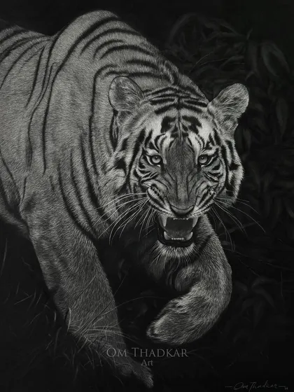 This is 'Shambhu', a Bengal tiger from Tadoba, captured in a moment of intense focus. I used sharp, detailed strokes to render its fierce gaze and striped coat, embodying the untamed spirit of this national symbol.