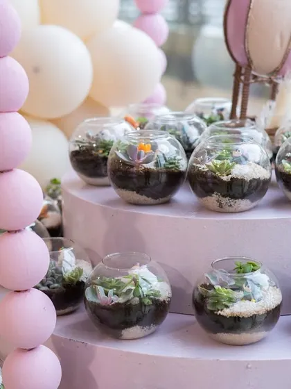 A display of the DIY terrarium favors that guests could create and take home as a living memory of the special day.