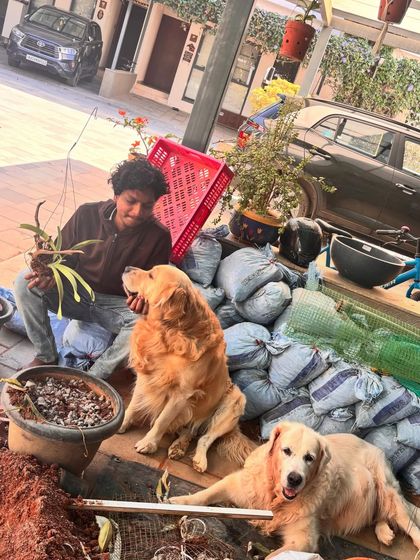 We always have the best helpers on site. Working around these two adorable golden retrievers made this repotting session so much more fun.