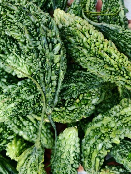 Fresh bitter gourd, or karela. I know not everyone loves it, but my pickle recipe makes it delicious and tangy.
