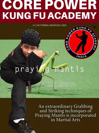 A poster highlighting our Praying Mantis style, featuring one of our young students. We teach the principles of this extraordinary technique to all age groups.