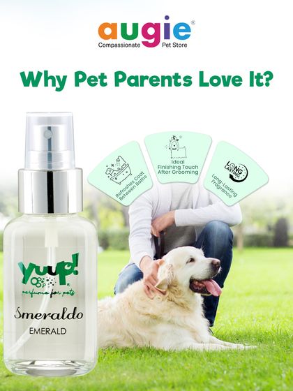 Augie Pets - Pet Supplies Spa Day at Home: Gentle Grooming Essentials photo 17