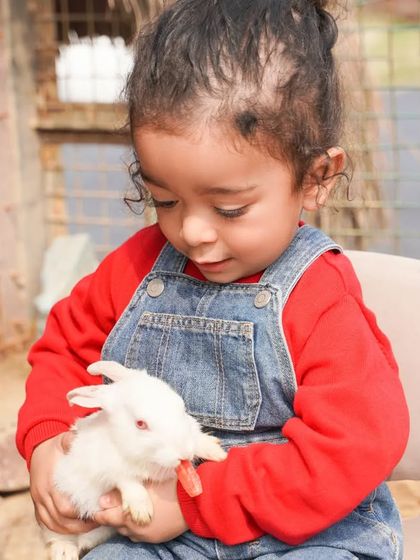 Sometimes the quietest moments are the most beautiful. We captured this little one's gentle curiosity and wonder as she held a small white rabbit at a farm-themed party.