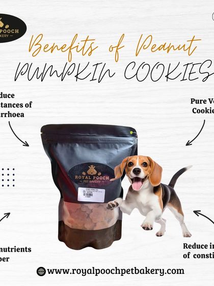 My Peanut Pumpkin cookies are great for digestive health. They are pure veg and packed with micronutrients and fiber, which can help reduce instances of both diarrhea and constipation.