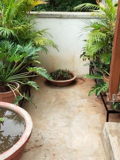 The Garden Hub - Landscape Design & Build Planters & Stands photo 6