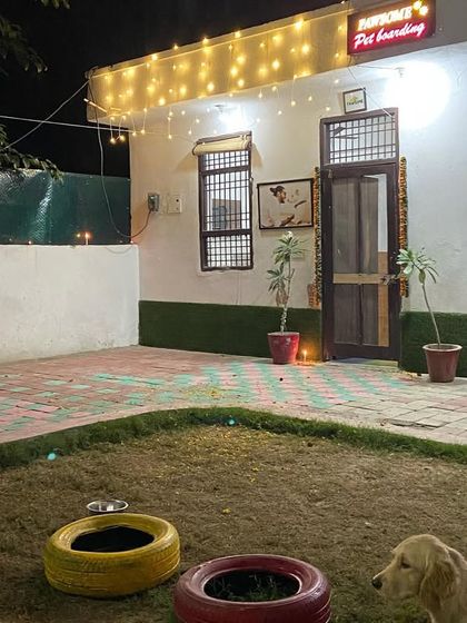 A beautiful, quiet Diwali night at Pawsome. The place is decorated with lights to celebrate the festival of lights.