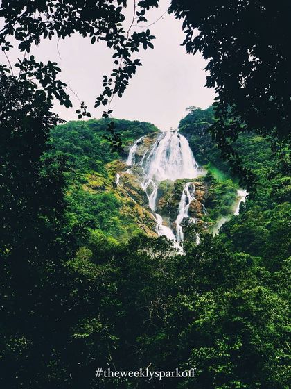 Another artistic shot of the Dudhsagar falls, framed by the dark silhouettes of leaves.