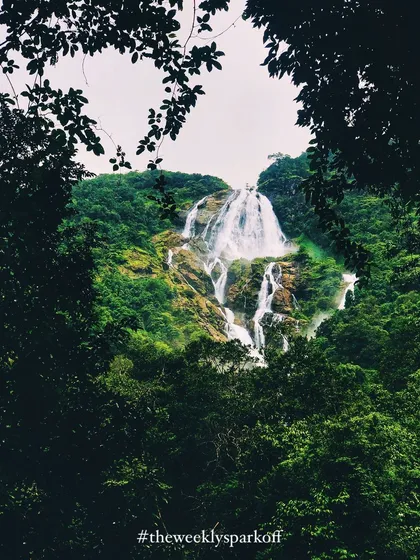 Another artistic shot of Dudhsagar falls, framed by leaves, highlighting the lush green surroundings.