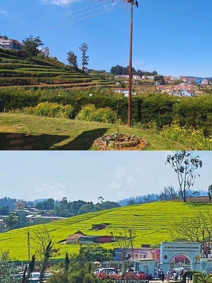 A collage of the beautiful landscapes of Kodaikanal, from tea gardens to terraced farms.
