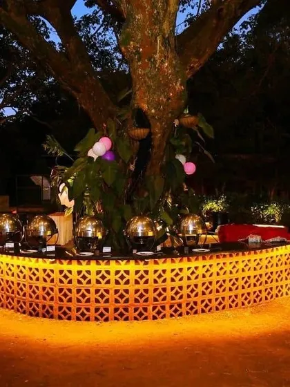 Another view of our innovative tree-hugging buffet setup, illuminated at night to create a warm and inviting focal point for your event's dining area.