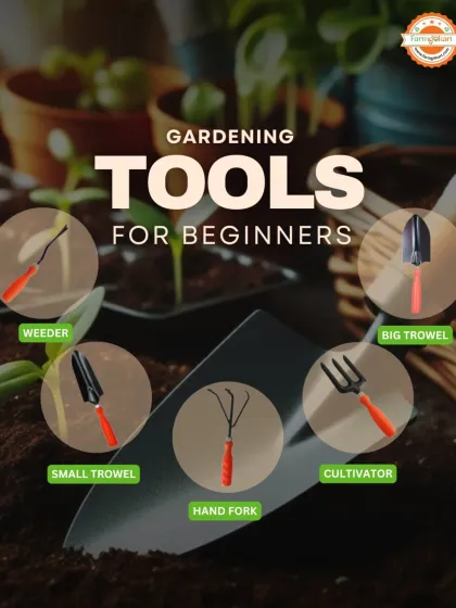 Feeling overwhelmed about what to buy? I've put together this simple guide showing the essential gardening tools for any beginner. It features a weeder, trowels, a hand fork, and a cultivator, everything you need to prepare your soil and start planting.