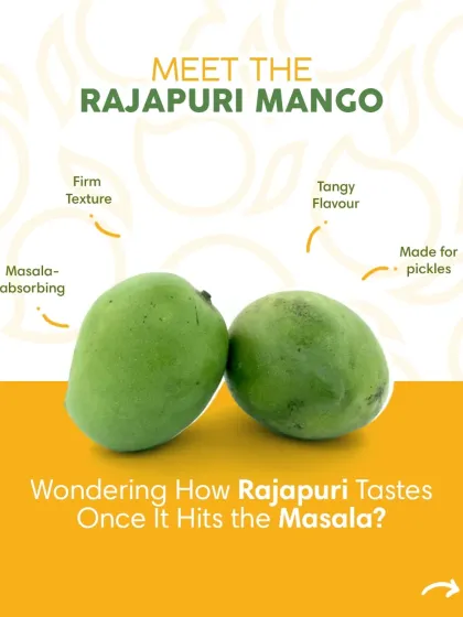 Meet the Rajapuri mango: firm, tangy, and perfect for absorbing masala. It's the ideal choice for making pickles, and we use it to ensure authentic taste and quality in every jar.