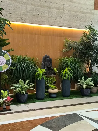 Celebrating World Environment Day at our Inorbit Mall outlet. We hosted a "Spin and Win" event to encourage sustainability and share the love of plants.