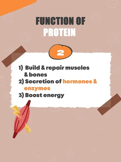 What is protein and why is it so important? This series explains how protein builds muscle, boosts energy, and helps with fat loss by keeping you feeling full. It also includes a list of great protein sources.