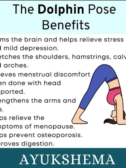 Learn the benefits of Dolphin Pose, an excellent asana for calming the brain, stretching the shoulders and hamstrings, and strengthening the arms and legs.