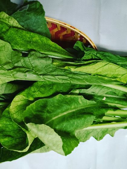 A collection of our various leafy greens and herbs, showcasing their lushness and health.