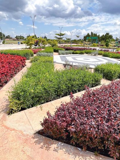 Urban & Landscape Design Studio - Landscape Architecture for Communities Sustainable Landscapes & Planting Strategy photo 8