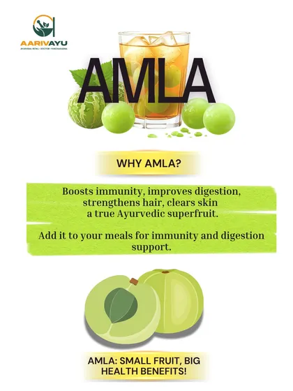 Amla is a true Ayurvedic super-fruit. This small fruit packs big health benefits, from boosting your immunity and improving digestion to strengthening hair and clearing your skin. It's an easy and effective addition to your daily health routine.
