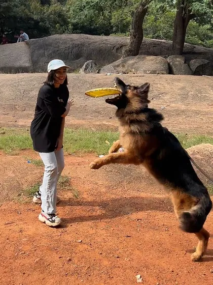Look at that drive. Working with Hustler the GSD was a blast. Using a dog's natural play drive is one of the most effective ways to train and build a strong, positive relationship.