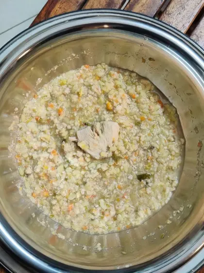 Here is a close-up of our freshly prepared chicken and red rice meal. You can see the real chunks of boneless chicken, finely chopped vegetables, and wholesome grains that make every bowl a balanced diet for your dog.