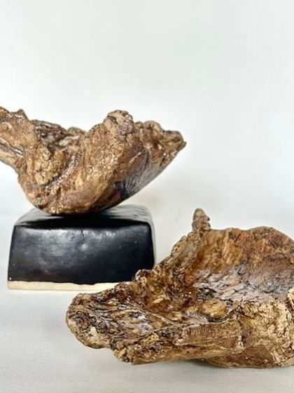 These sculptural bowls have a raw, earthy texture that reminds me of tree bark. They are hand-formed and designed to bring a piece of nature indoors.